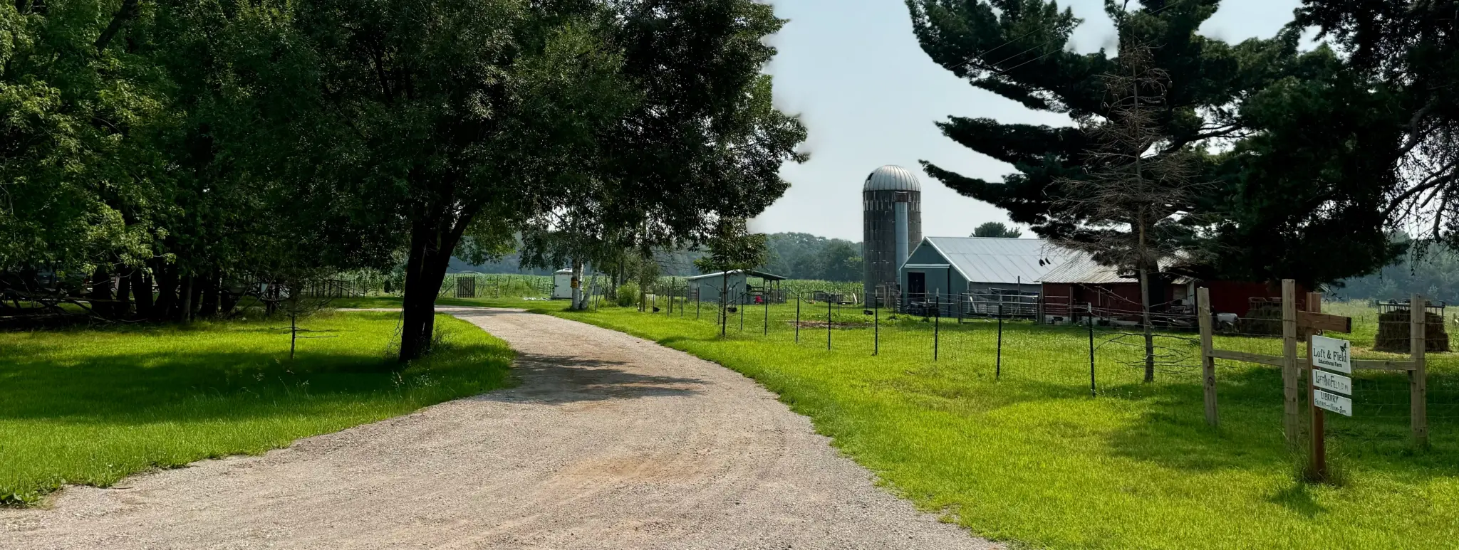 An image of our driveway leading into our farm.