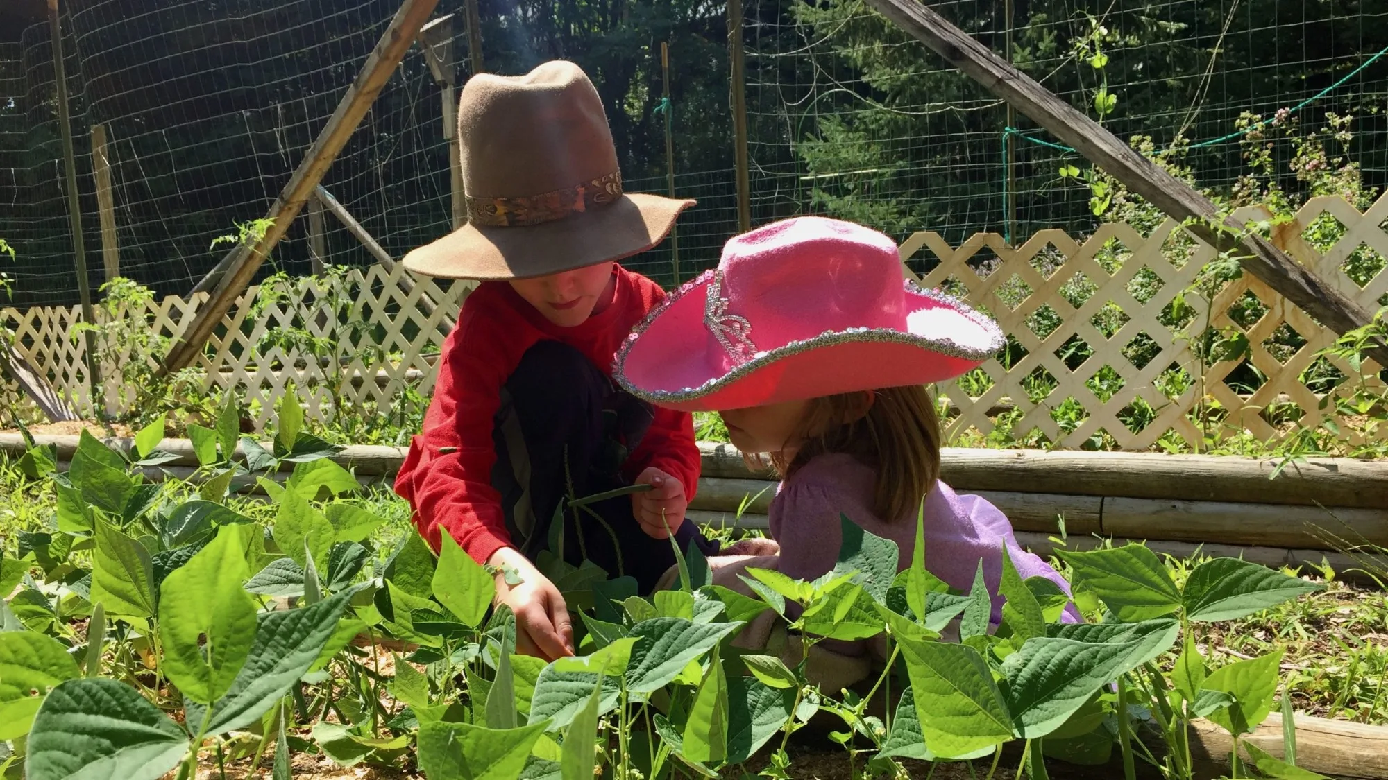 Seeds AM Program (ages 3-5)