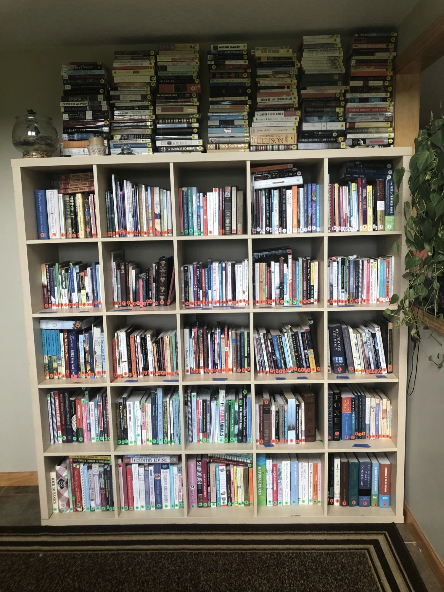 Summer Only Library Membership 